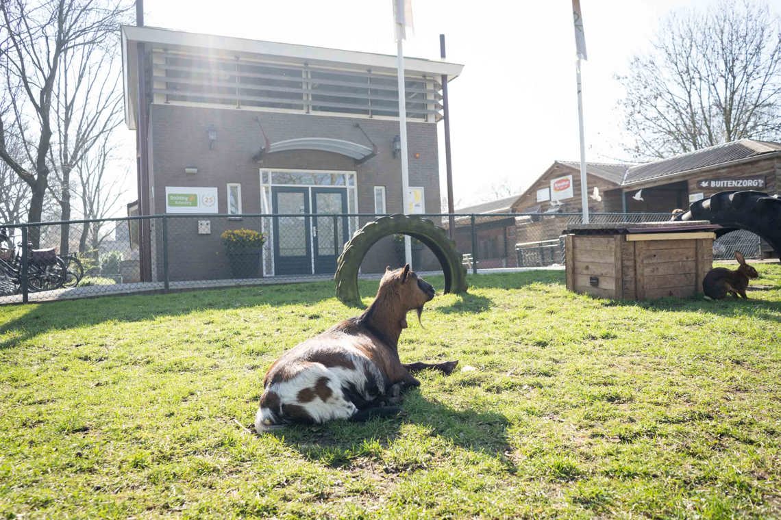 Zideris Veenendaal, Buitenzorg, Dagbesteding Foto Niek Stam 5237