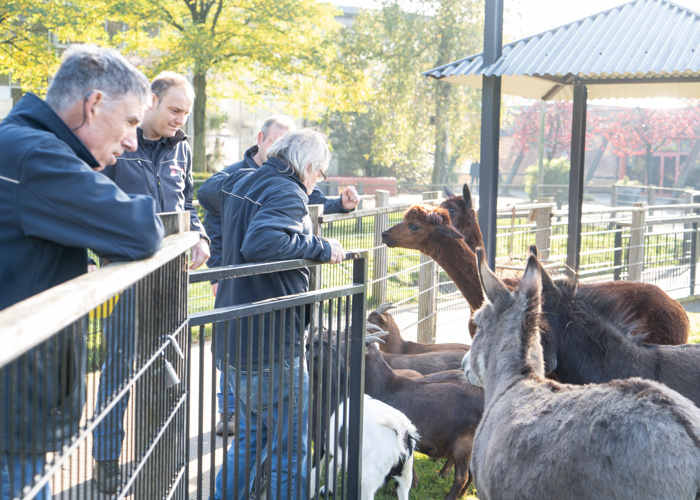 Zideris, Ouwehands Dierenpark Foto Niek Stam 04464