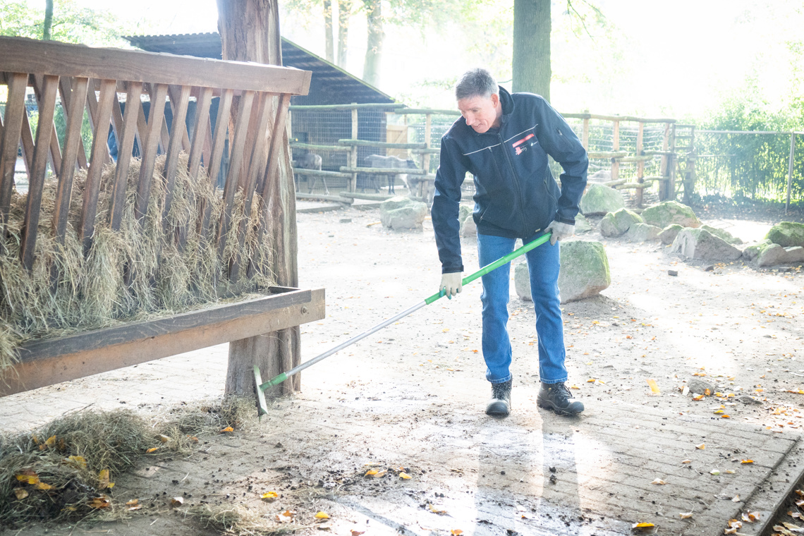 Zideris, Ouwehands Dierenpark Foto Niek Stam 04634