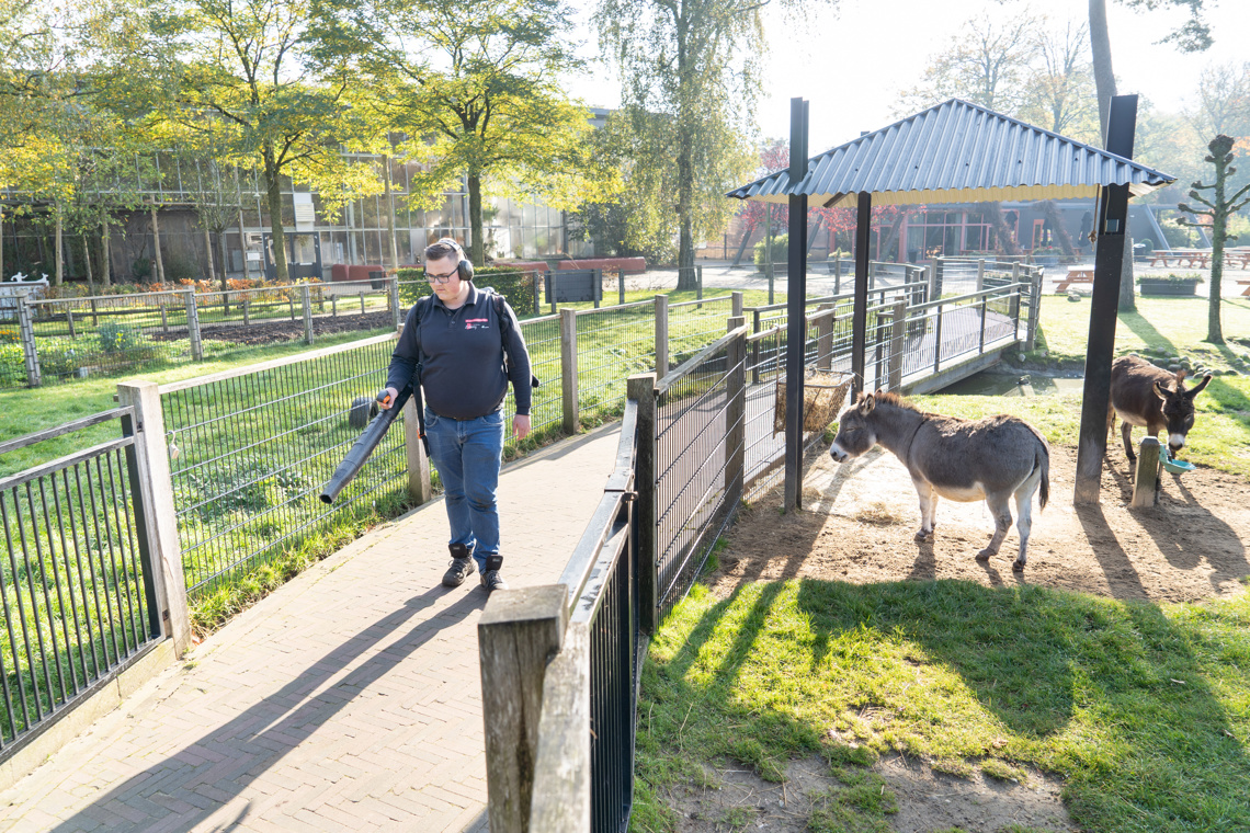 Zideris, Ouwehands Dierenpark Foto Niek Stam 04410