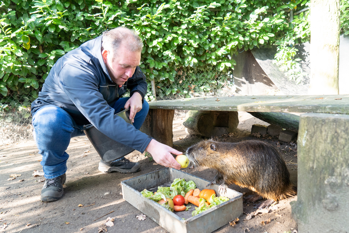 Zideris, Ouwehands Dierenpark Foto Niek Stam 04210