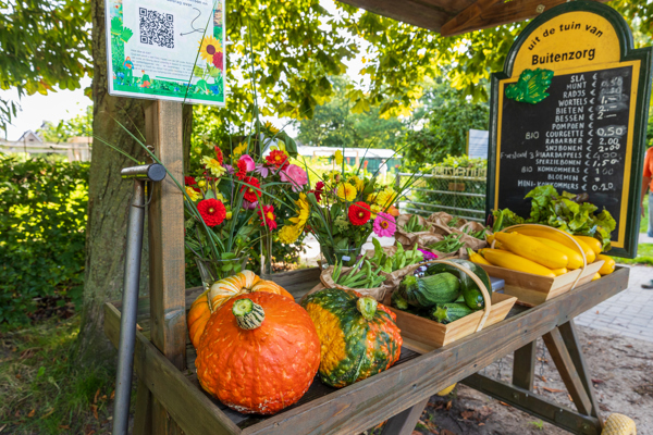 Buitenzorg De Tuin 4905
