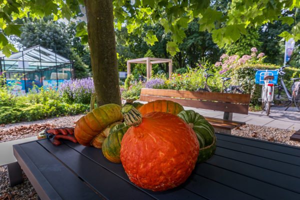 Buitenzorg De Tuin 4929