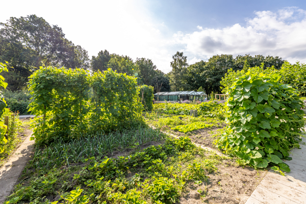 Buitenzorg De Tuin 4950