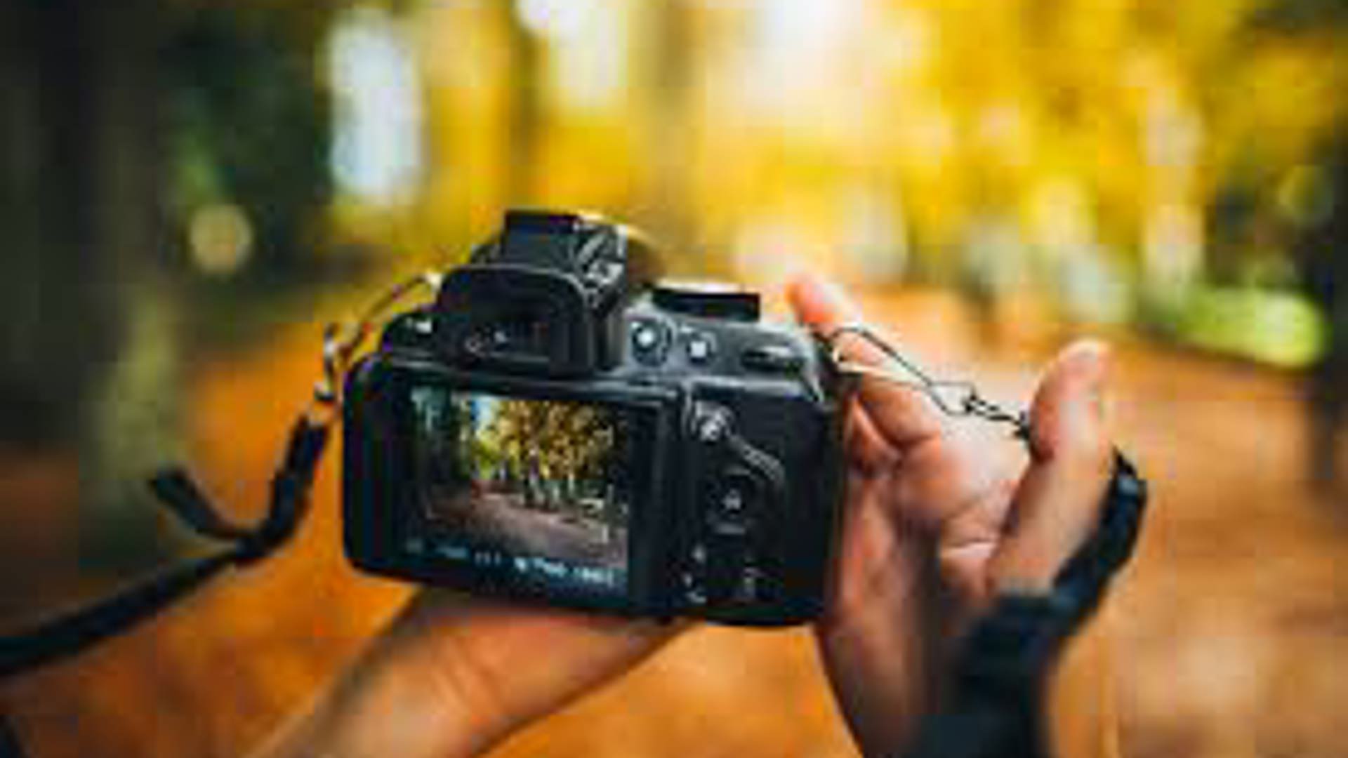 Fotografie