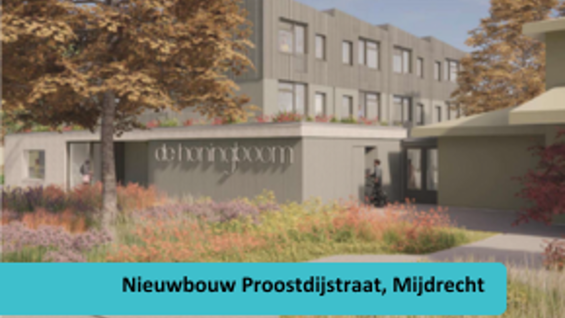 Bouwupdate Proostdijstraat